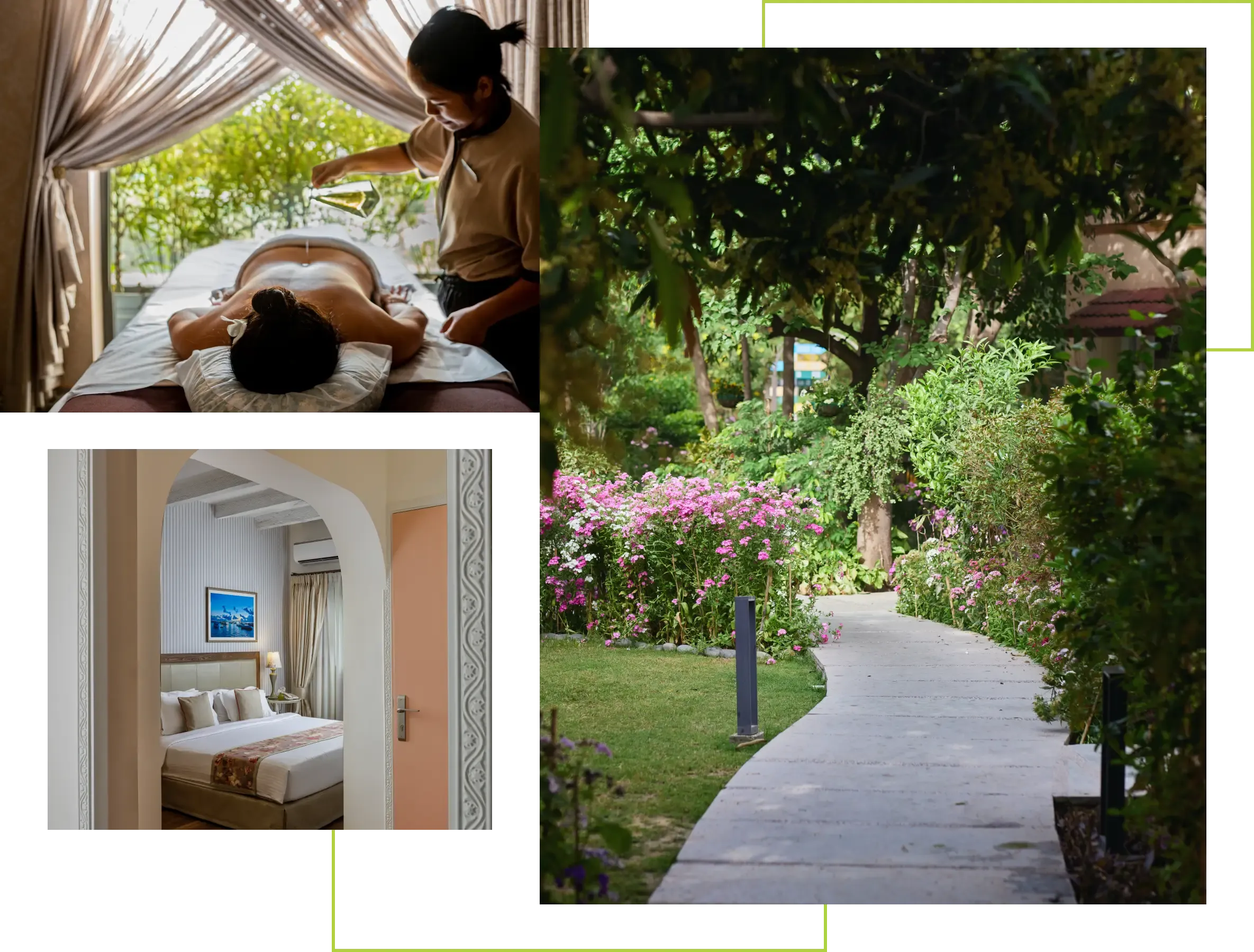 A Full-Circle Approach to Wellness